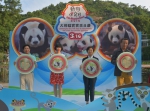  大熊猫宝宝百日庆活动气氛热闹  - 新闻局