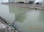  环保局於鸭涌河河口设置拦鱼网  - 新闻局