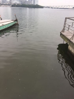 南湾湖发现有红潮现象  - 新闻局