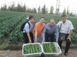  跨部门食品价格工作小组前赴甘肃开拓蔬菜货源  - 新闻局
