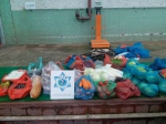  海关与民署食安中心联合行动，检获走私鲜活食材600多公斤  - 新闻局