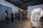 “象外之景——内地青年视觉艺术联展”开幕
呈现中国当代艺术美学特色 - 文化局