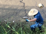  部门继续跟进死鱼情况  - 新闻局