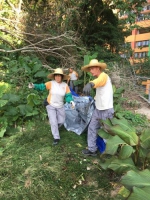  民署关注青洲山环境卫生情况  - 新闻局